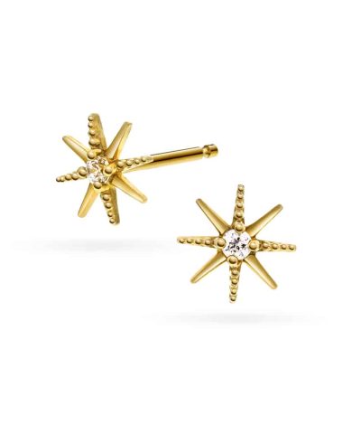 Øredobber i gull med zirkonia