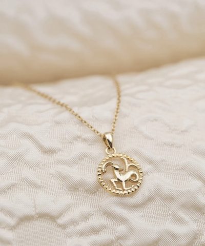 Alternative view of Smykke i sølv Steinbukken