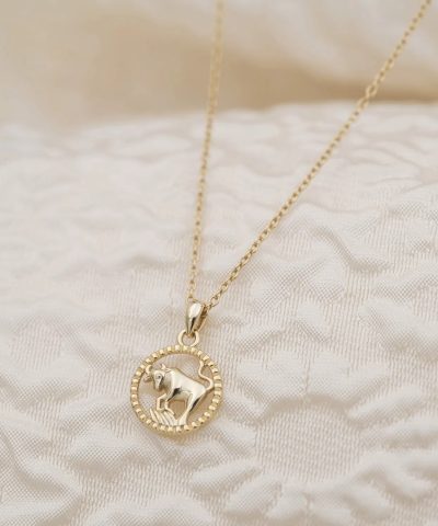 Alternative view of Smykke i sølv Tyren