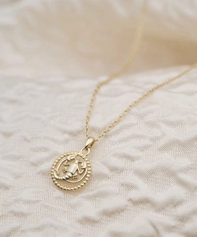 Alternative view of Smykke i sølv Krepsen