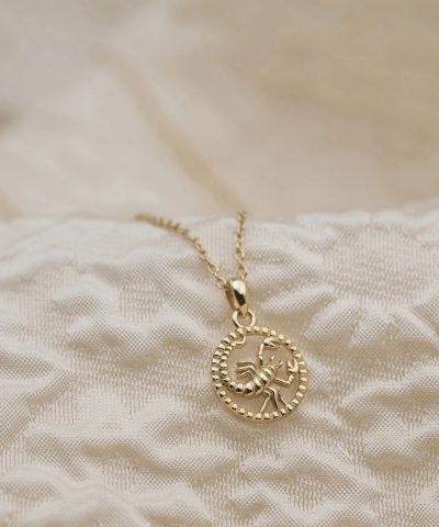 Alternative view of Smykke i sølv Skorpionen