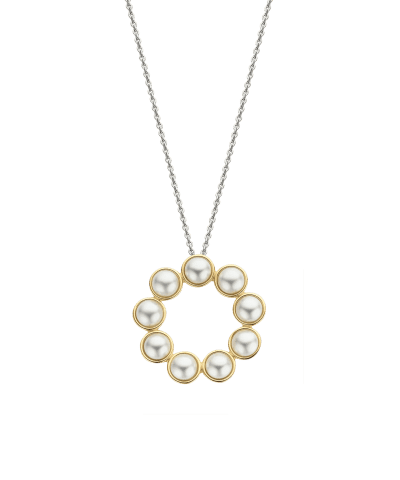 Ti Sento Milano Necklace 34008YP