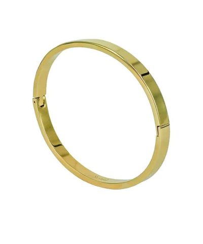 Arock armbånd Walter blankt gold 5mm