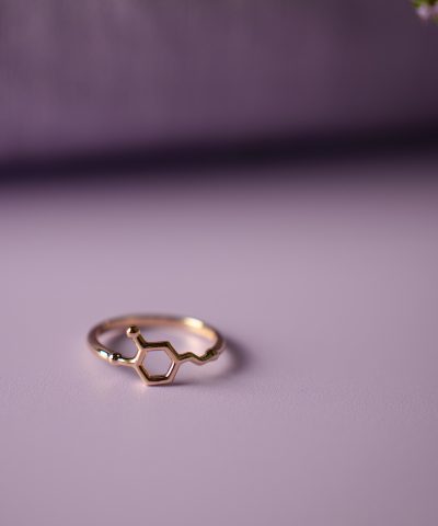 Alternative view of Ring i sølv dopamin motivasjon