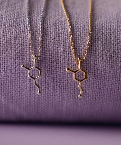 Alternative view of Smykke i sølv dopamin motivasjon