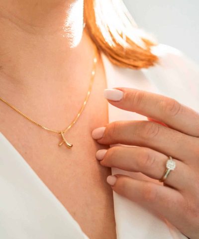 Alternative view of Anheng i gull