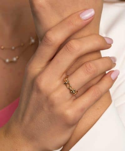 Alternative view of Ring i gull