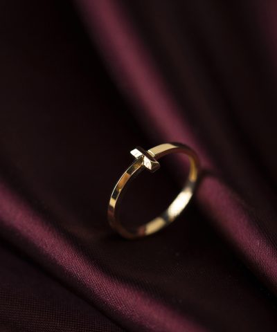 Alternative view of Ring i gull