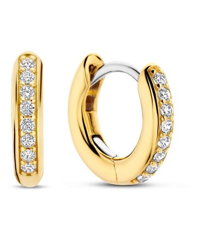 Ti Sento - Milano Earrings 7811ZY