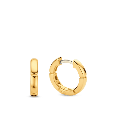 Ti Sento Milano Earrings 7889SY