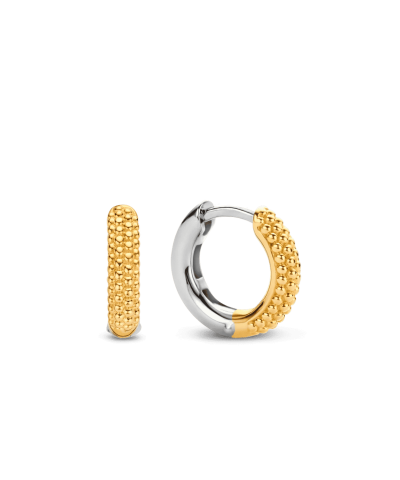 Ti Sento Milano Earrings 7894SY