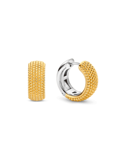 Ti Sento Milano Earrings 7895SY