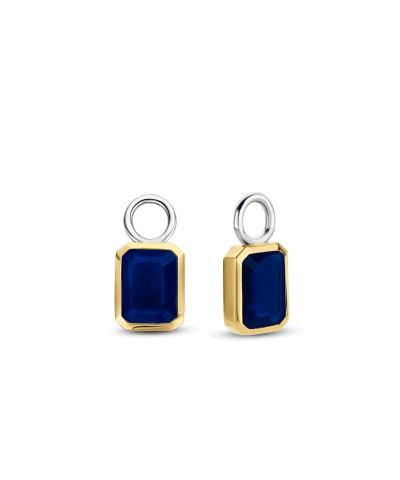 Ti Sento Milano Ear Charms 9253BY