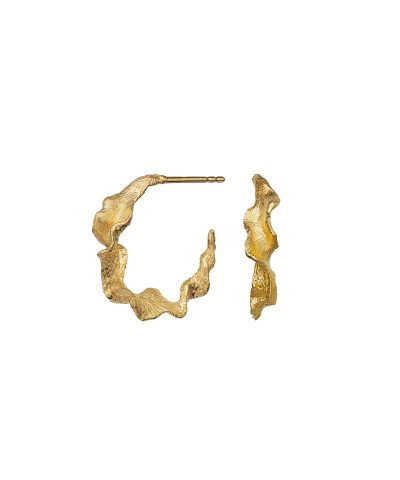 Alternative view of Nino Øredobber