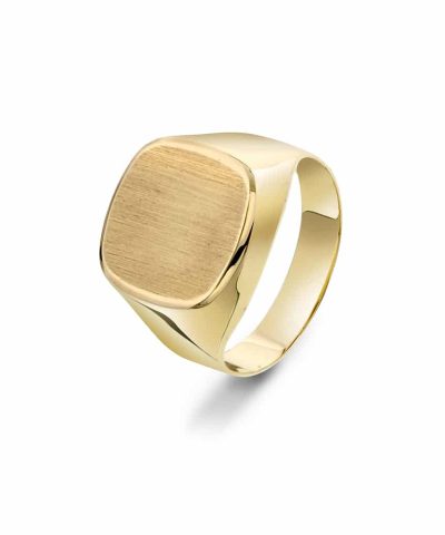 Pan Jewelry - Ring i gull