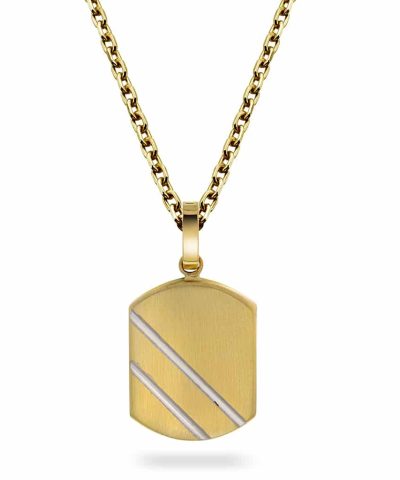 Alexander Anheng i gull