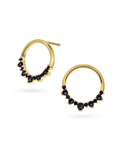 Pan Jewelry - Starlight øredobber i 925 forylt sølv med sorte stener