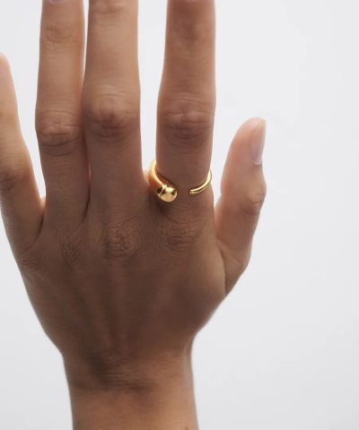 Alternative view of PDPaola Loop Ring