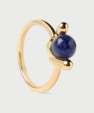 PDPaola Sodalite Nexus Ring