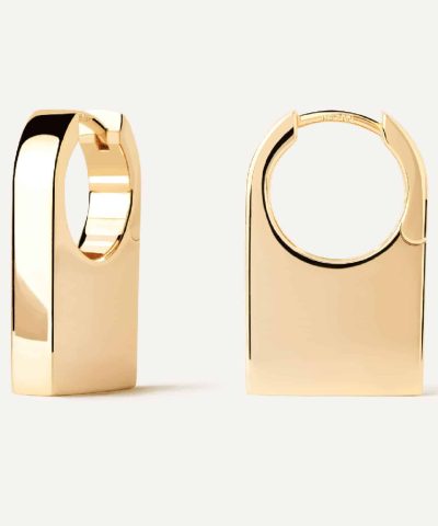 PDPaola Chicago Hoops