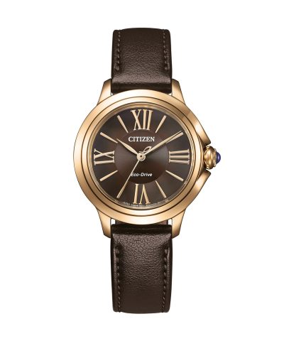 Citizen Male Stainless Steel brown ø 30mm - EM1163-09X