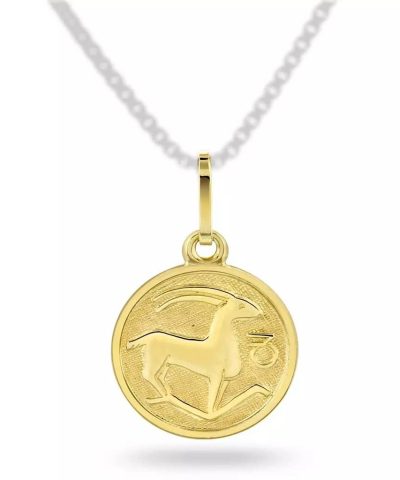 Stjernetegn Steinbukken